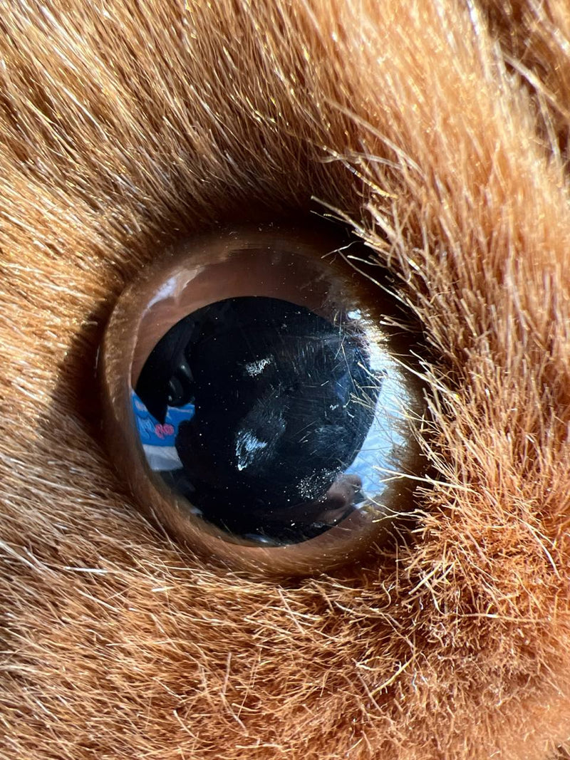 Gebrauchtes PonyCycle® Offizielles Schaukelpferd mit Einhorn-Plüsch für Kinder-Ux324