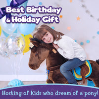 PonyCycle K Dunkelbraunes Pferd für 3-5 Jahre (Accessoires inclus)